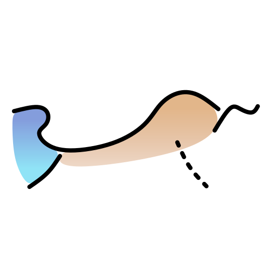 Mapthusiast Logo